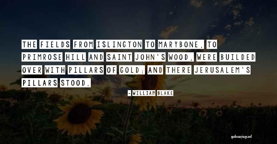 John Blake Quotes By William Blake John Blake Quotes By William Blake