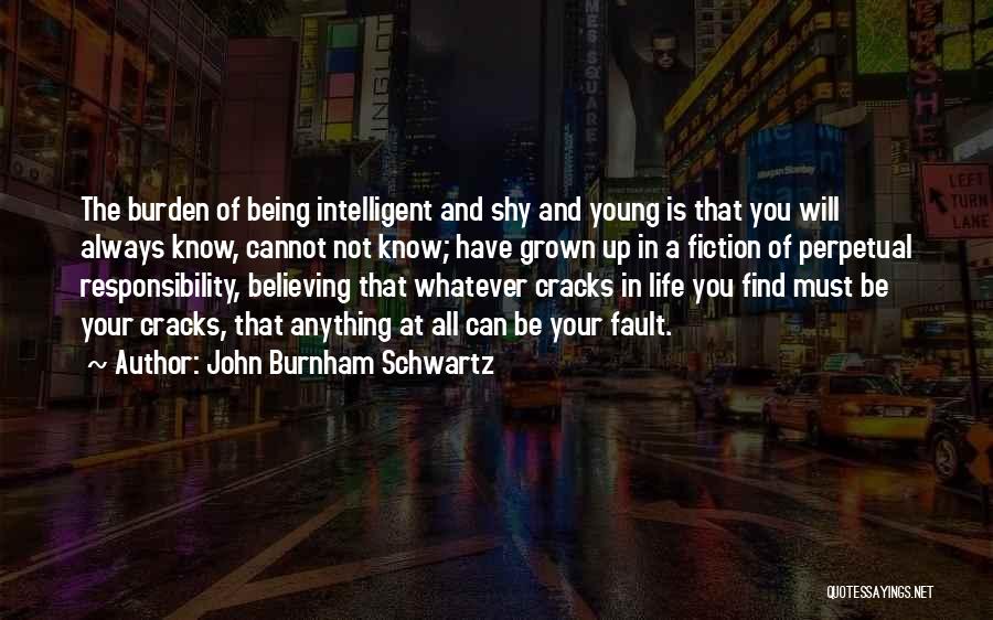 John Burnham Schwartz Quotes 164511