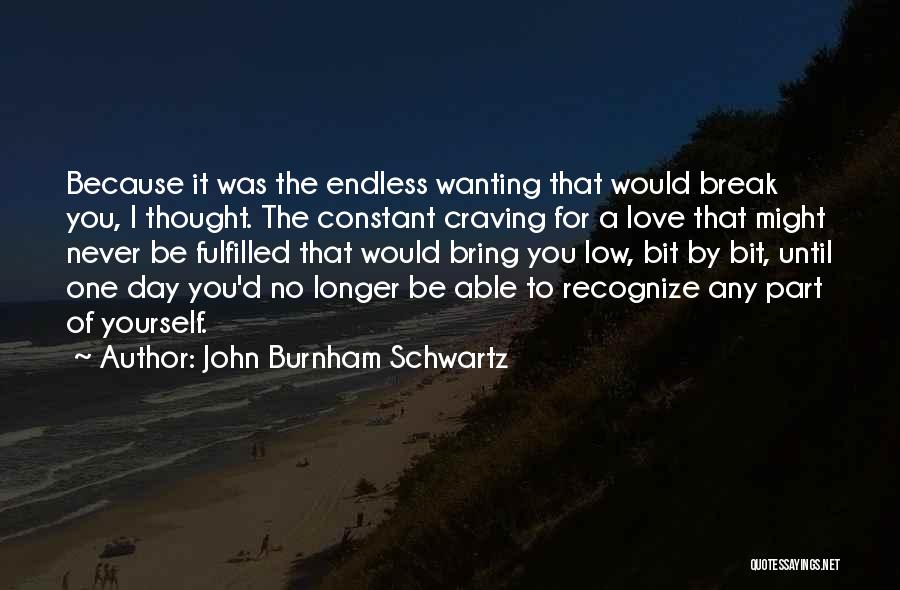 John Burnham Schwartz Quotes 1719149