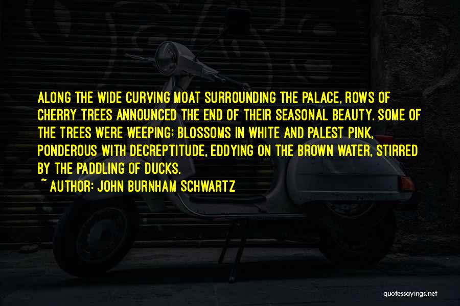 John Burnham Schwartz Quotes 1796880