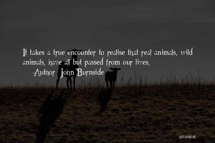 John Burnside Quotes 1645766