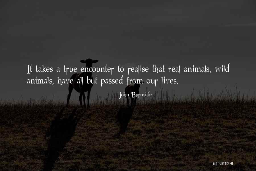 John Burnside Quotes 1645766 John Burnside Quotes 1645766