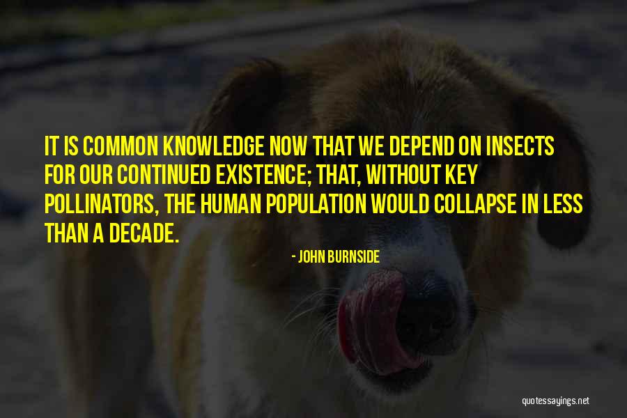 John Burnside Quotes 1793829 John Burnside Quotes 1793829