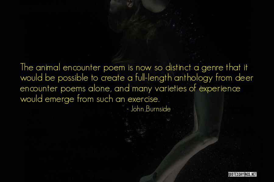 John Burnside Quotes 1804645