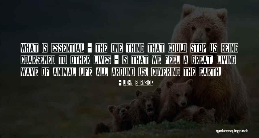 John Burnside Quotes 1940222 John Burnside Quotes 1940222