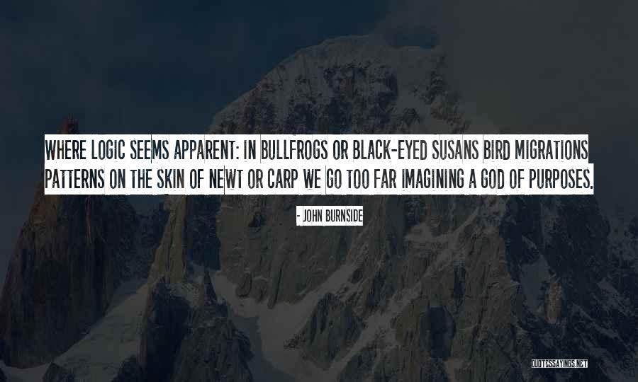 John Burnside Quotes 1993582 John Burnside Quotes 1993582