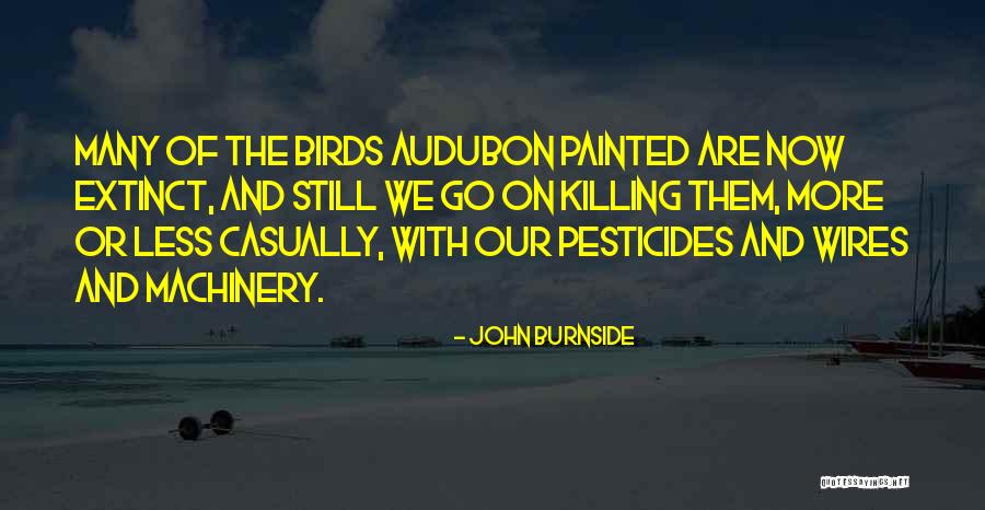 John Burnside Quotes 2080427