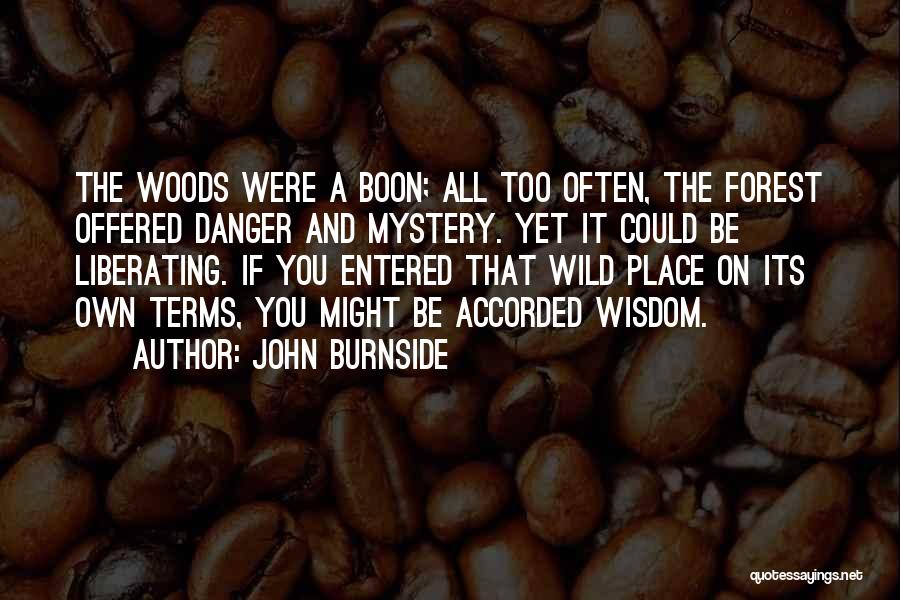 John Burnside Quotes 397736