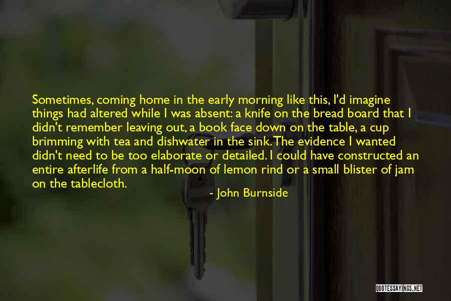 John Burnside Quotes 551733 John Burnside Quotes 551733