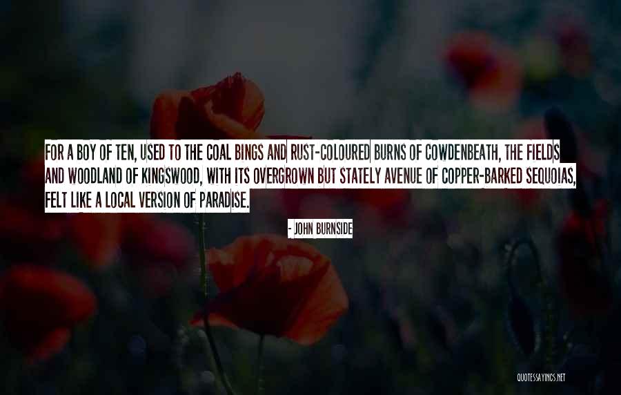 John Burnside Quotes 723318 John Burnside Quotes 723318