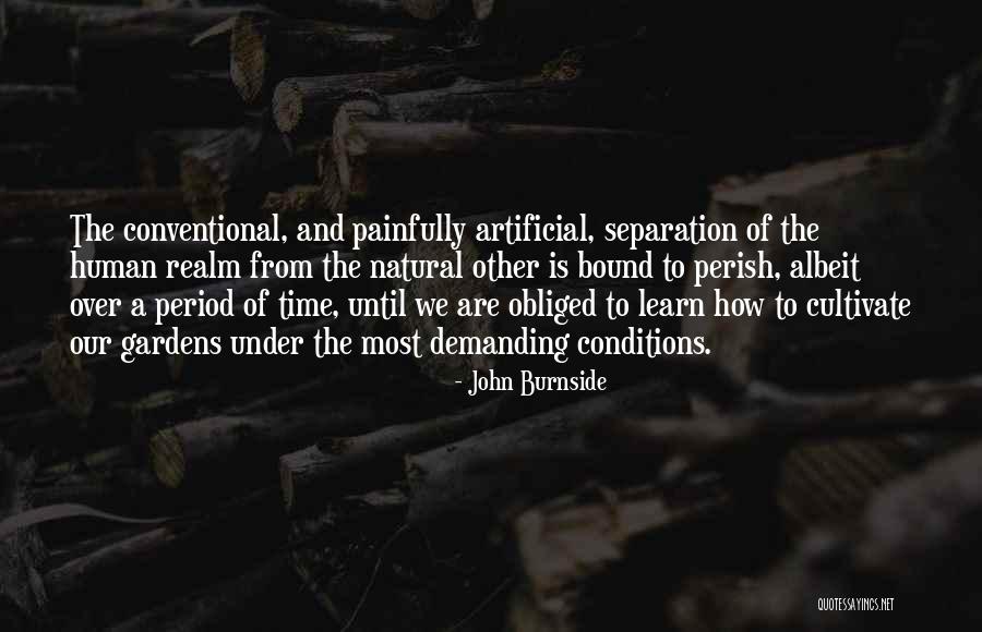 John Burnside Quotes 80128