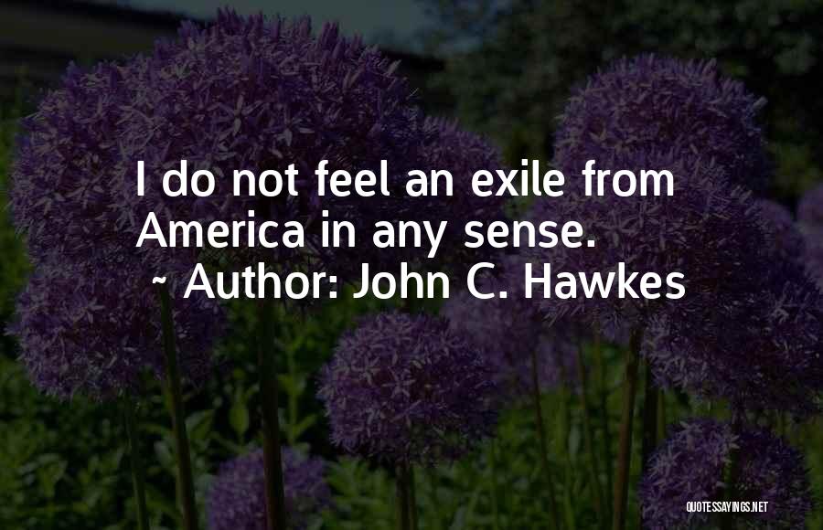 John C. Hawkes Quotes 1716936