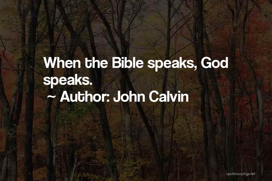 John Calvin Bible Quotes By John Calvin