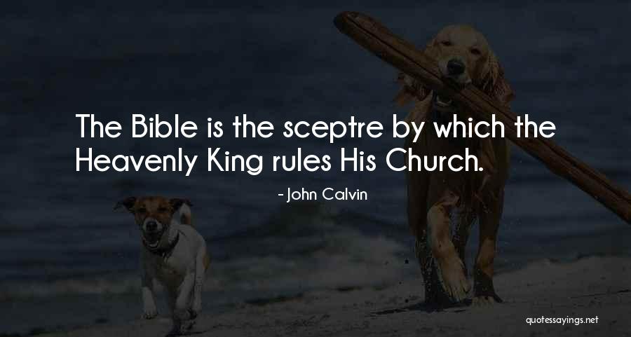 John Calvin Bible Quotes By John Calvin