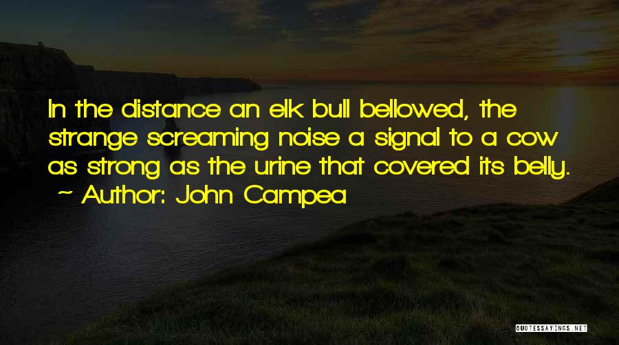 John Campea Quotes 581999