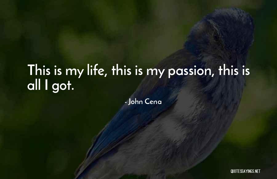 John Cena Quotes 992752 John Cena Quotes 992752