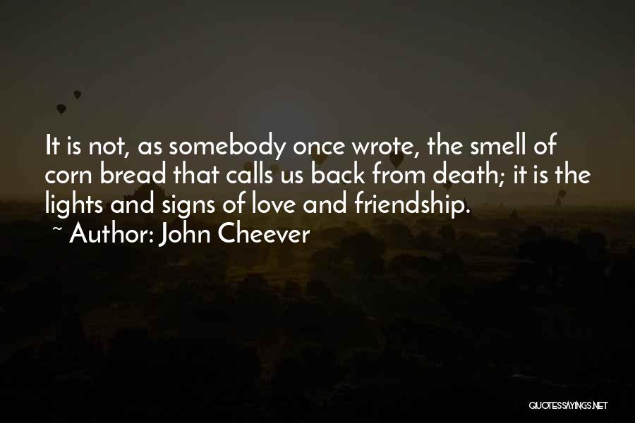 John Cheever Quotes 100635