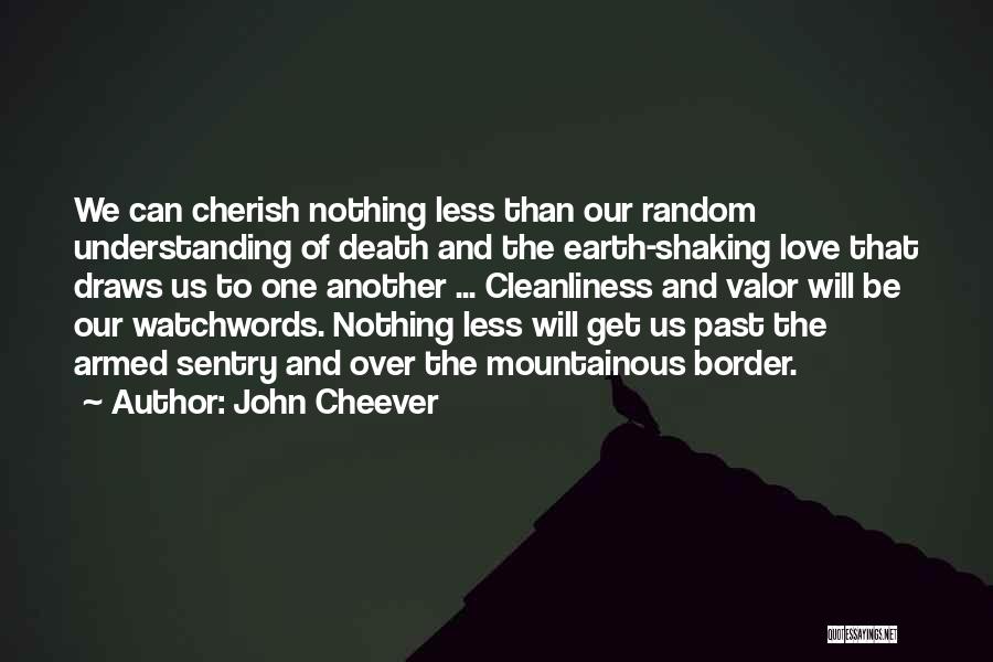 John Cheever Quotes 116265