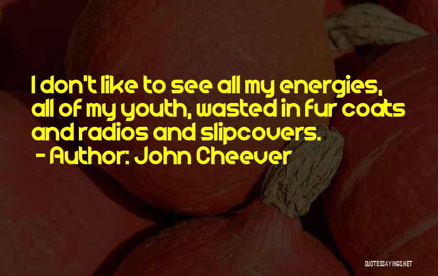 John Cheever Quotes 1201492