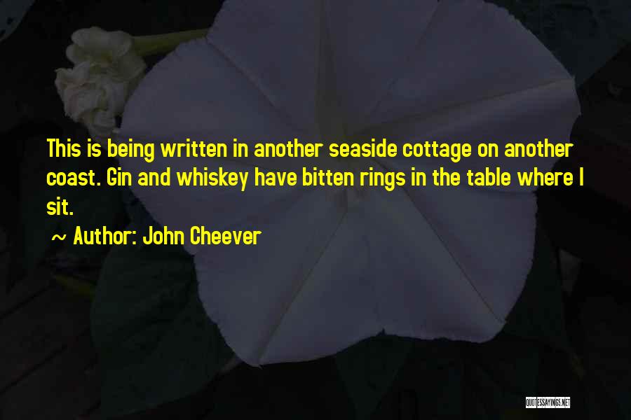 John Cheever Quotes 1204734