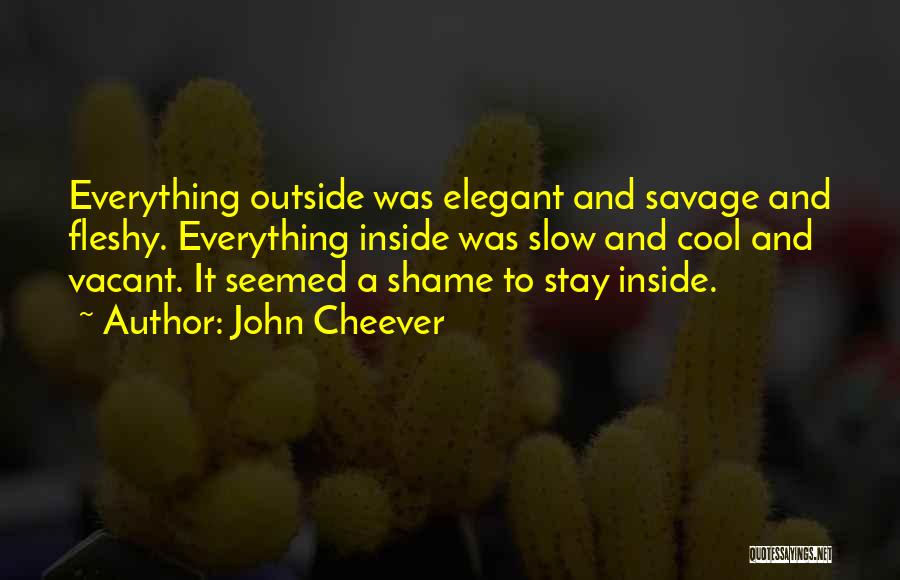 John Cheever Quotes 1227136