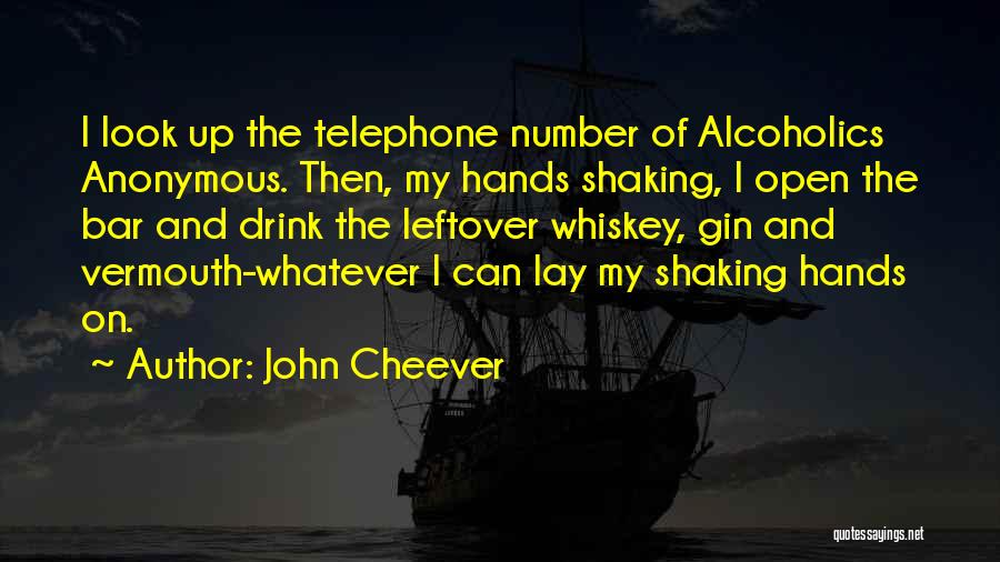John Cheever Quotes 1390062