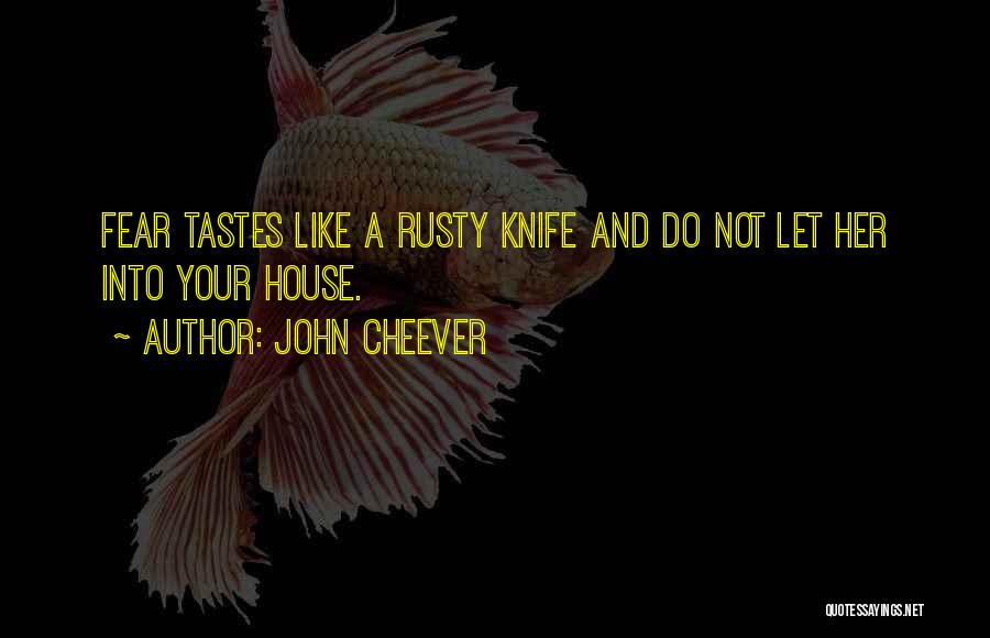 John Cheever Quotes 1711916