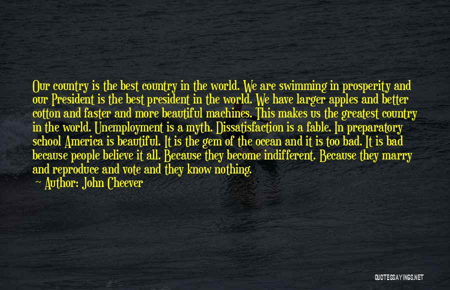 John Cheever Quotes 1767080