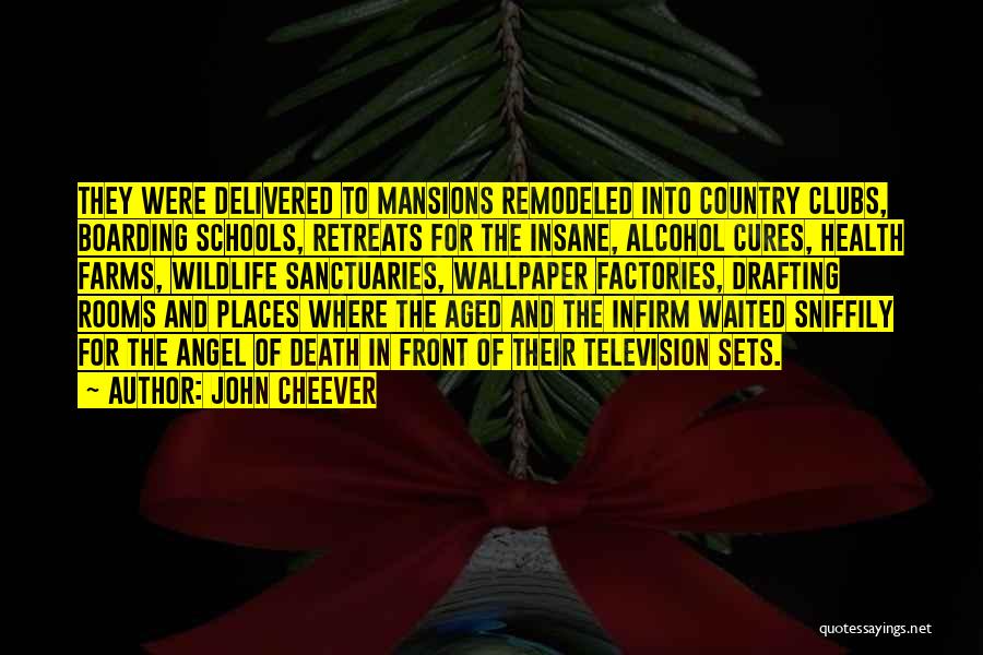 John Cheever Quotes 2136416