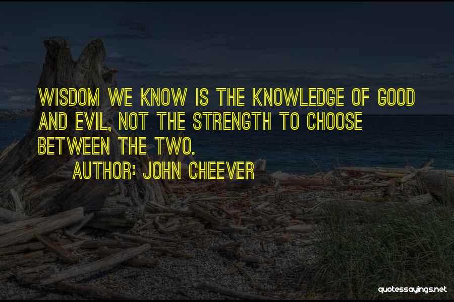 John Cheever Quotes 2234430