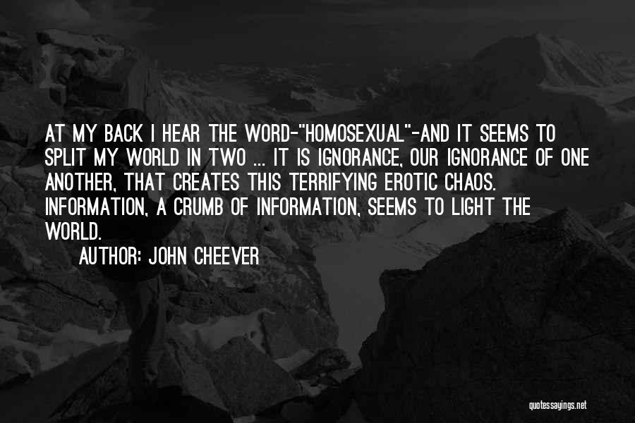 John Cheever Quotes 459449