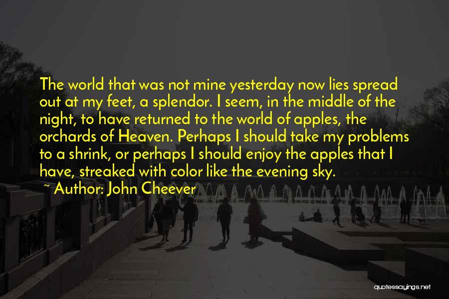 John Cheever Quotes 764314