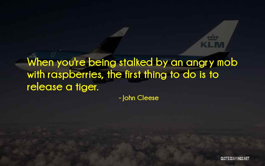 John Cleese Quotes 1935111