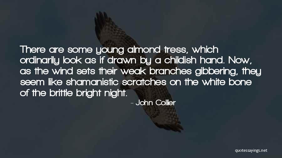 John Collier Quotes 366609