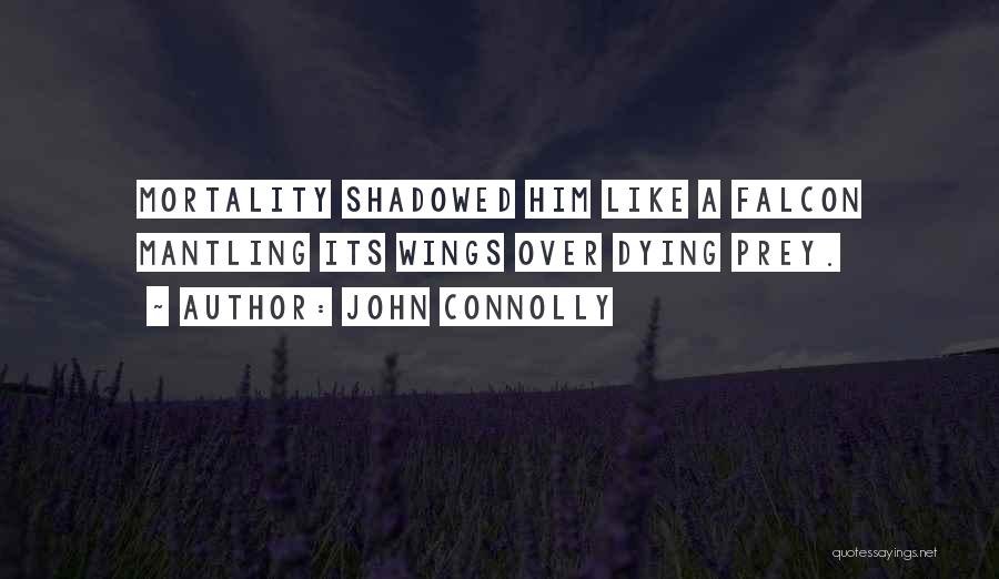 John Connolly Quotes 1411791