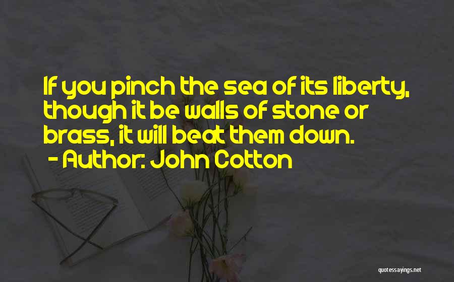 John Cotton Quotes 176802