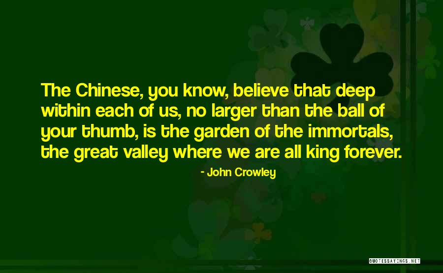 John Crowley Quotes 1128301