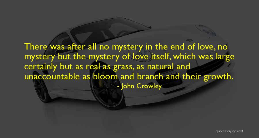 John Crowley Quotes 1183779