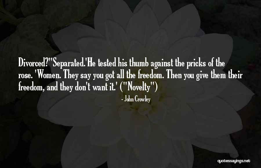 John Crowley Quotes 1529716 John Crowley Quotes 1529716