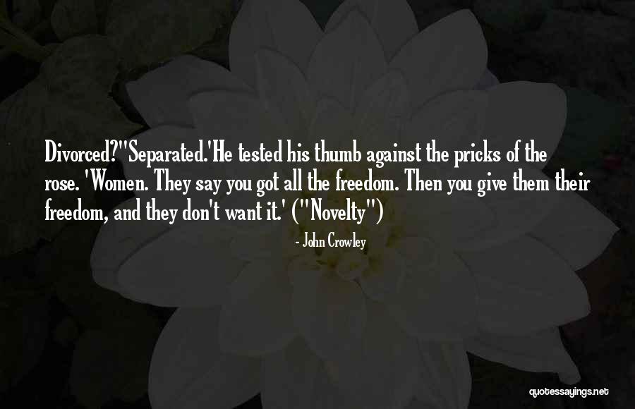 John Crowley Quotes 1529716