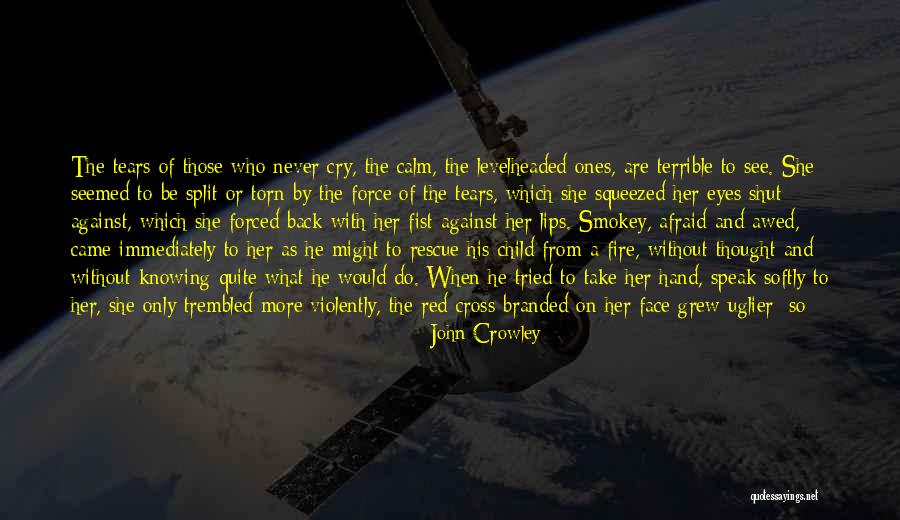 John Crowley Quotes 1556659