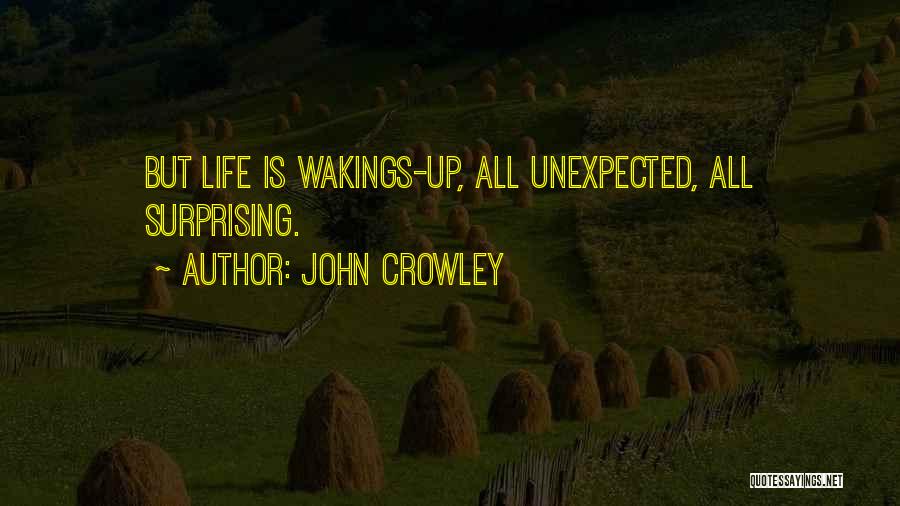 John Crowley Quotes 167627