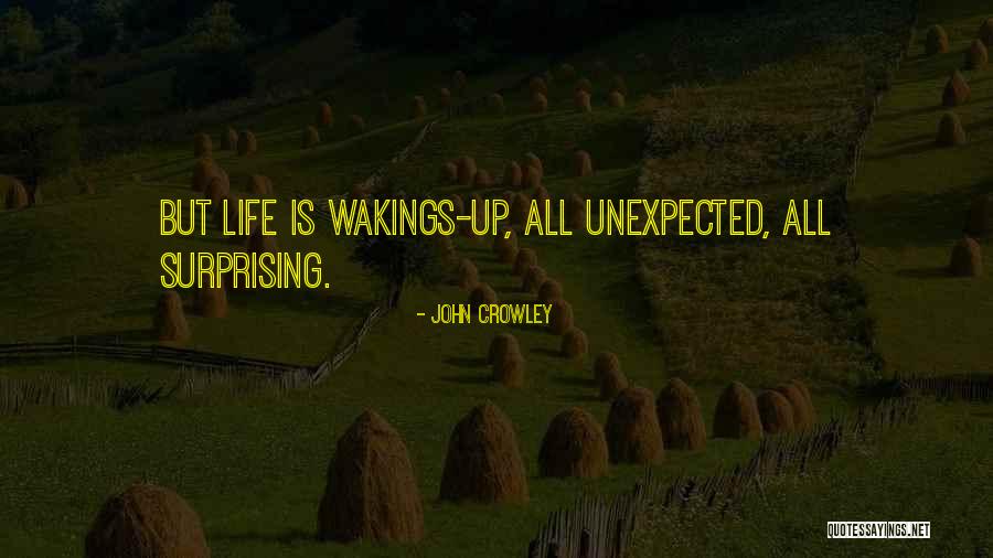 John Crowley Quotes 167627 John Crowley Quotes 167627