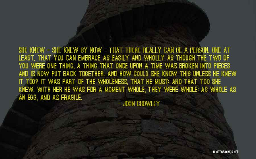 John Crowley Quotes 2167669