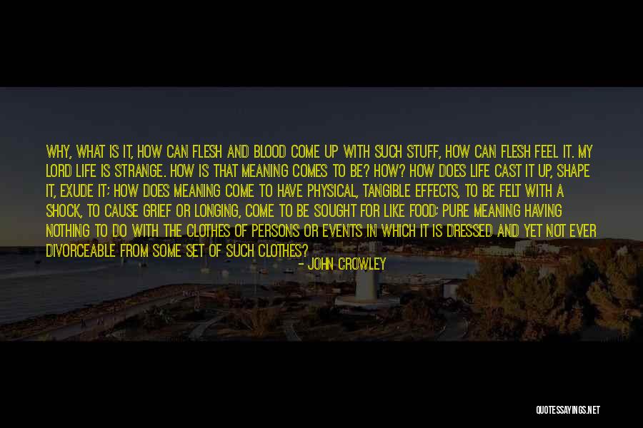 John Crowley Quotes 2257657