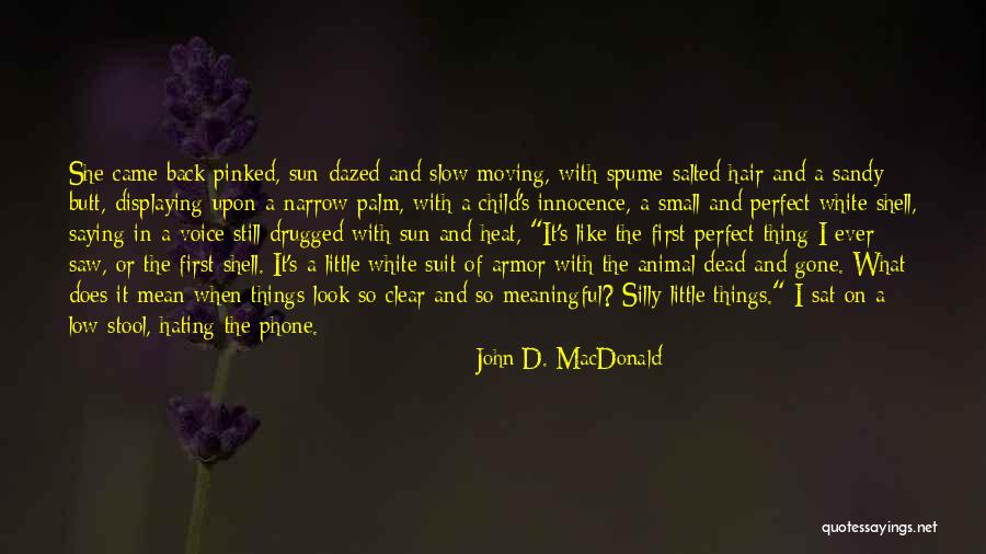 John D. MacDonald Quotes 244703