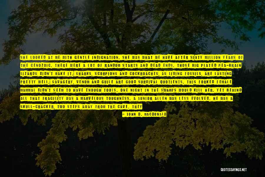 John D. MacDonald Quotes 912961 John D. MacDonald Quotes 912961