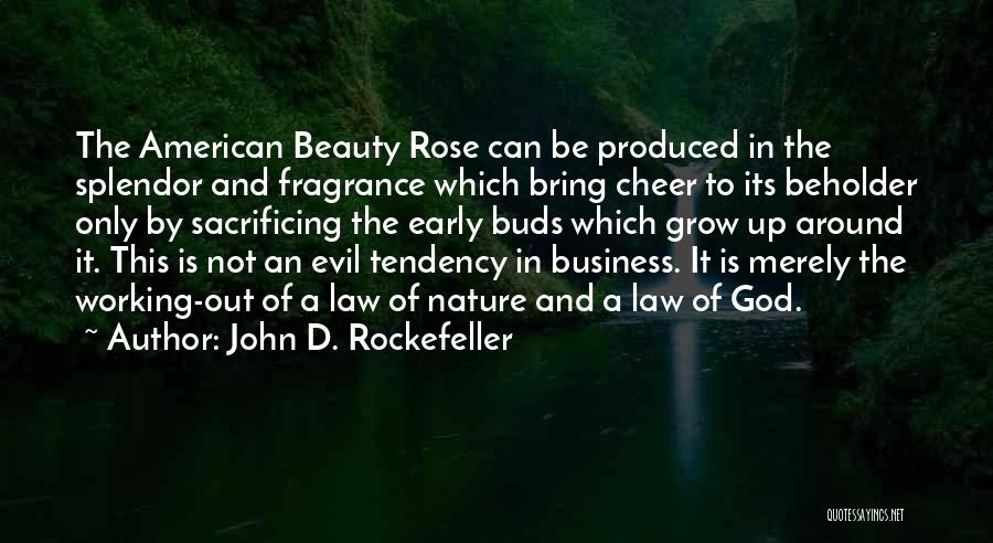 John D. Rockefeller Quotes 1479345