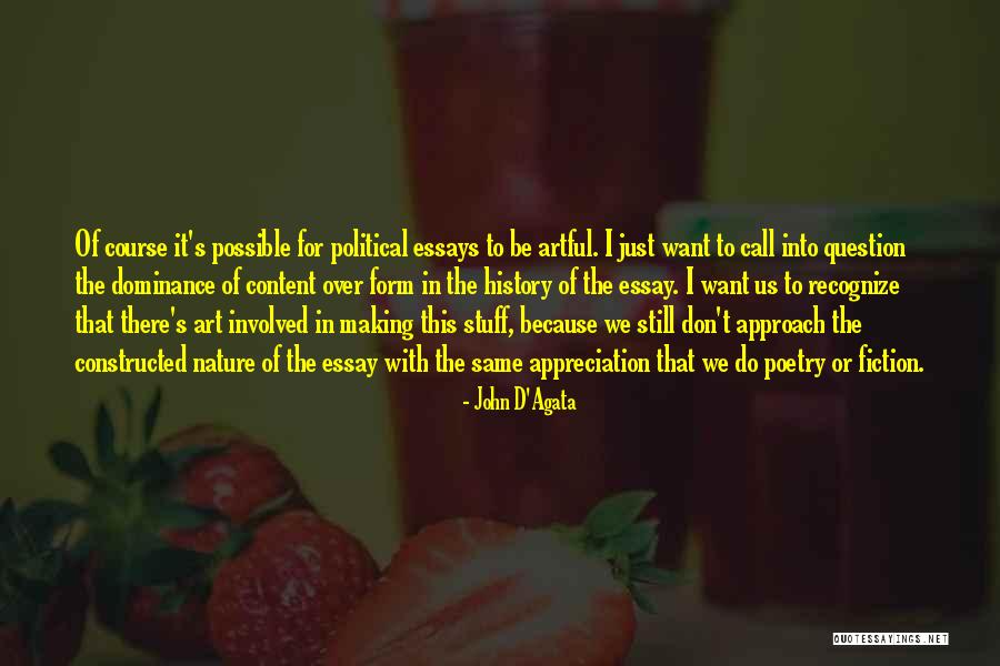 John D'Agata Quotes 1705764