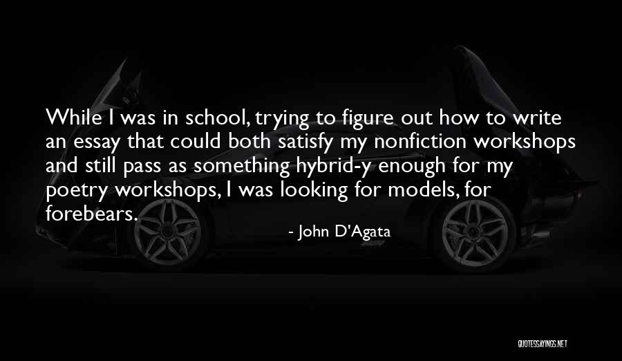 John D'Agata Quotes 465207